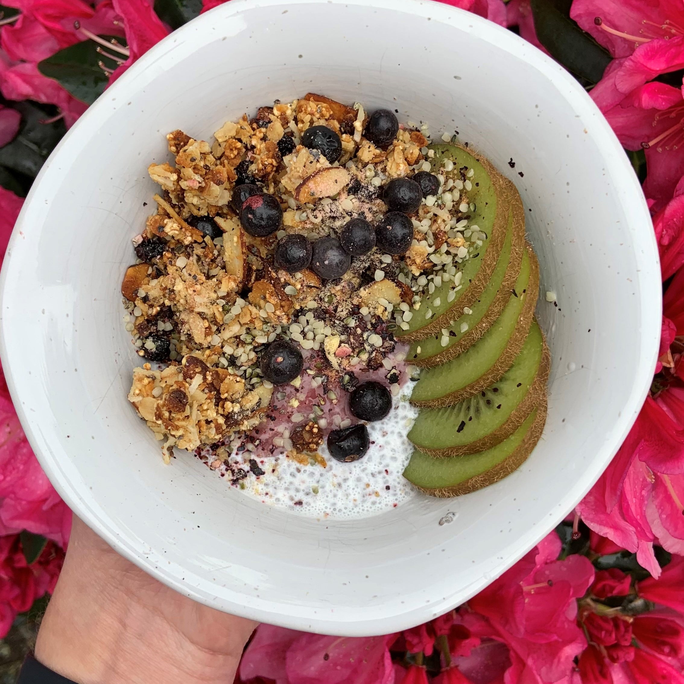 Apple and Blackcurrant Granola